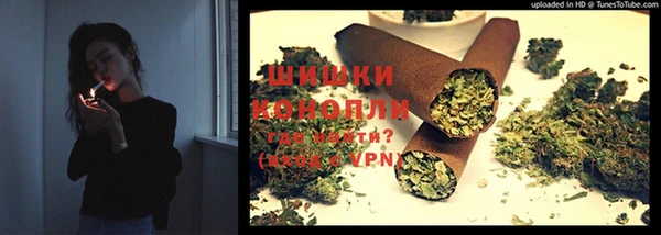ешки Каменногорск