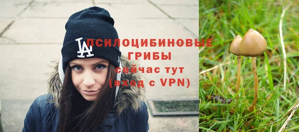 спиды Карпинск