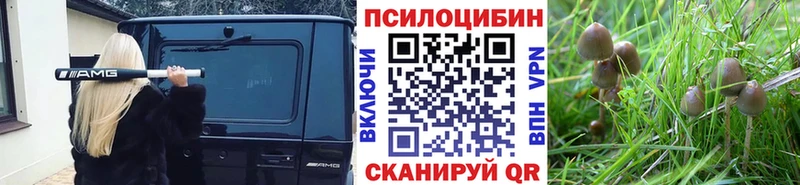 Псилоцибиновые грибы Psilocybe  omg онион  Княгинино 